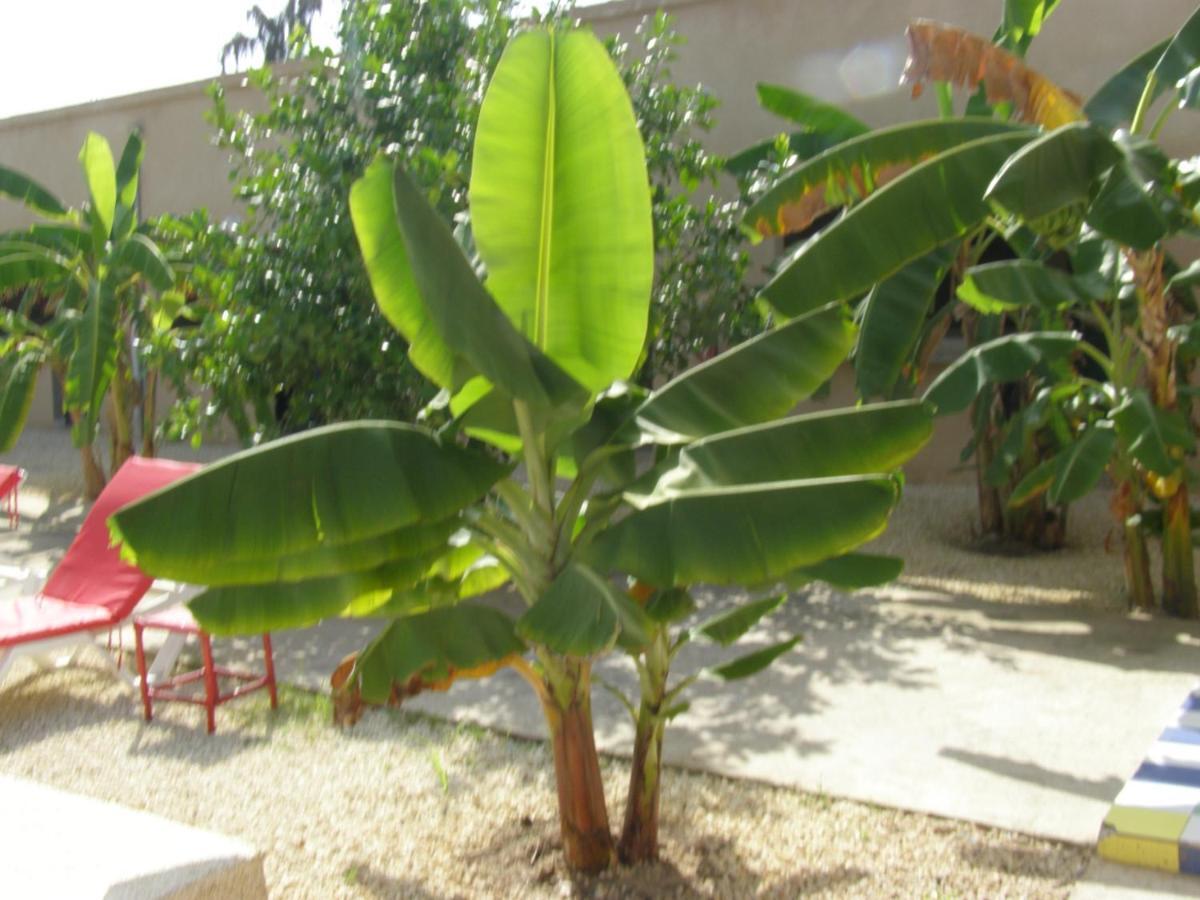 Auberge Keur Ely Ouoran Exterior foto
